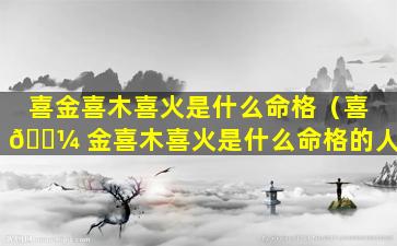 喜金喜木喜火是什么命格（喜 🌼 金喜木喜火是什么命格的人）
